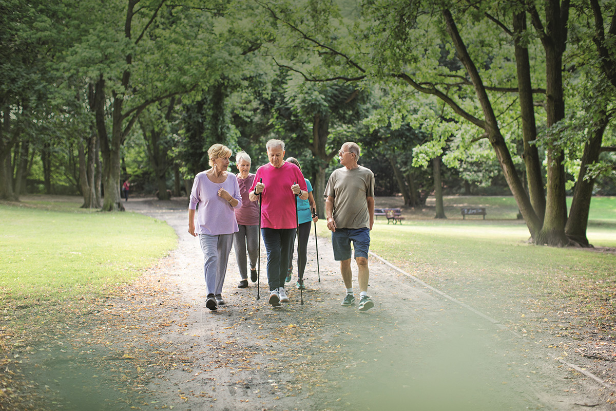  Gruppe von Älteren walkt durch einen Park