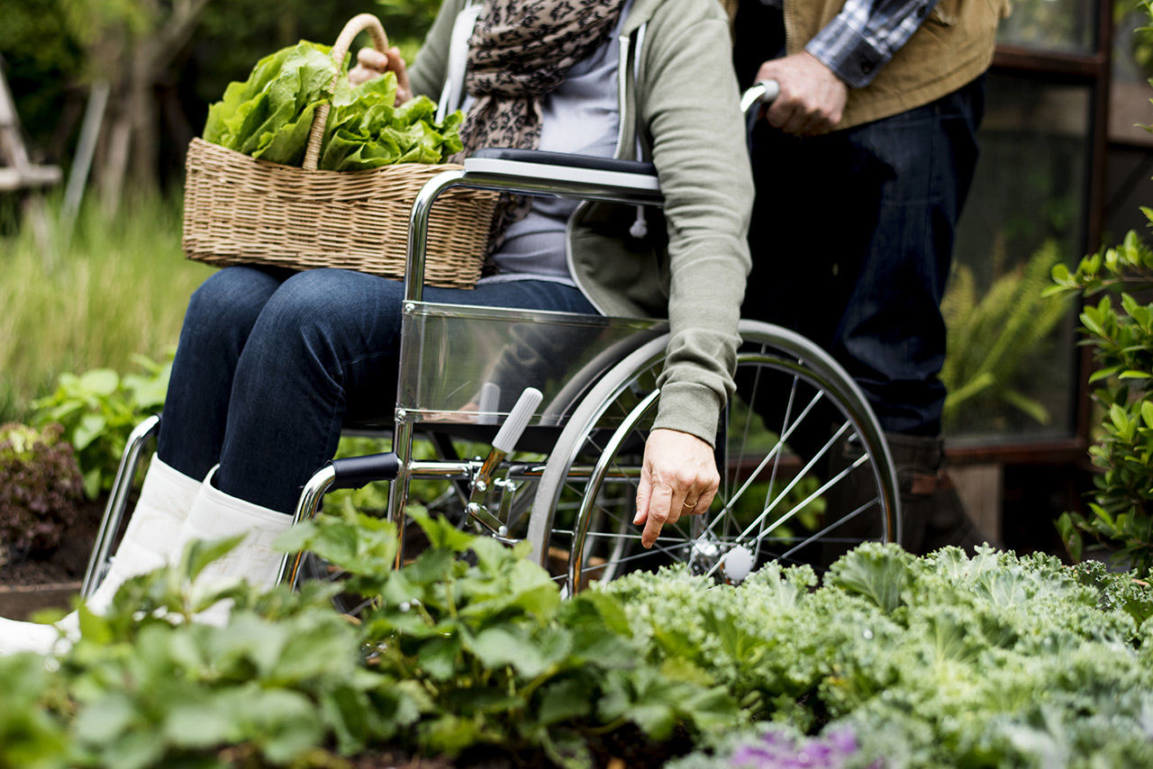 Person im Rollstuhl sitzt im Garten und hat geernteten Salat auf dem Schoß